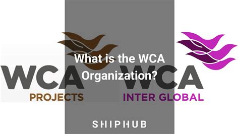 wca production leak|Exploring The World Of WCA Production: A Deep Dive Into。